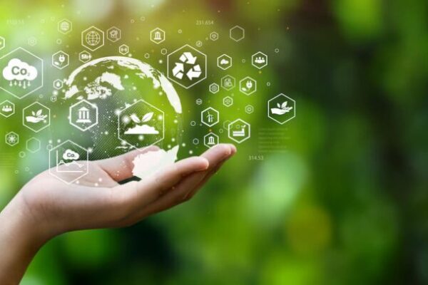 How Sustainability Driven Mindsets Are Transforming Workplace Culture and Leadership